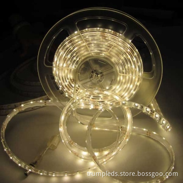2011 Chrismas High Output Warm White 3528 SMD LED Strip Light